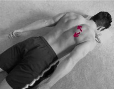 肩峰下夾擠症候群 Shoulder Impingement Syndrome 肩峰下夾擠症候群 Shoulder Impingement Syndrome
