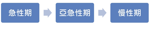 腦中風後的職能治療 腦中風後的職能治療