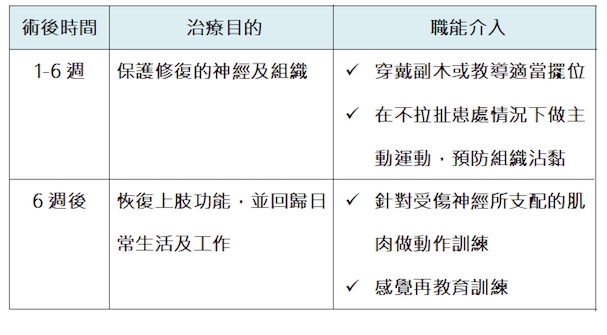 手部外傷的職能訓練 手部外傷的職能訓練