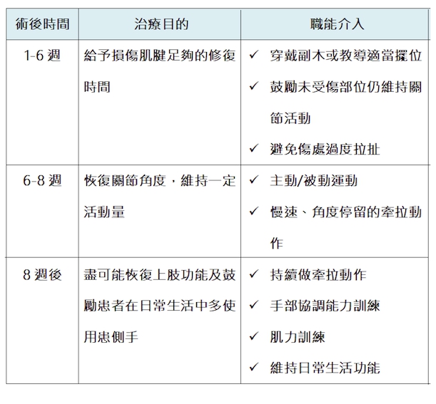 手部外傷的職能訓練 手部外傷的職能訓練