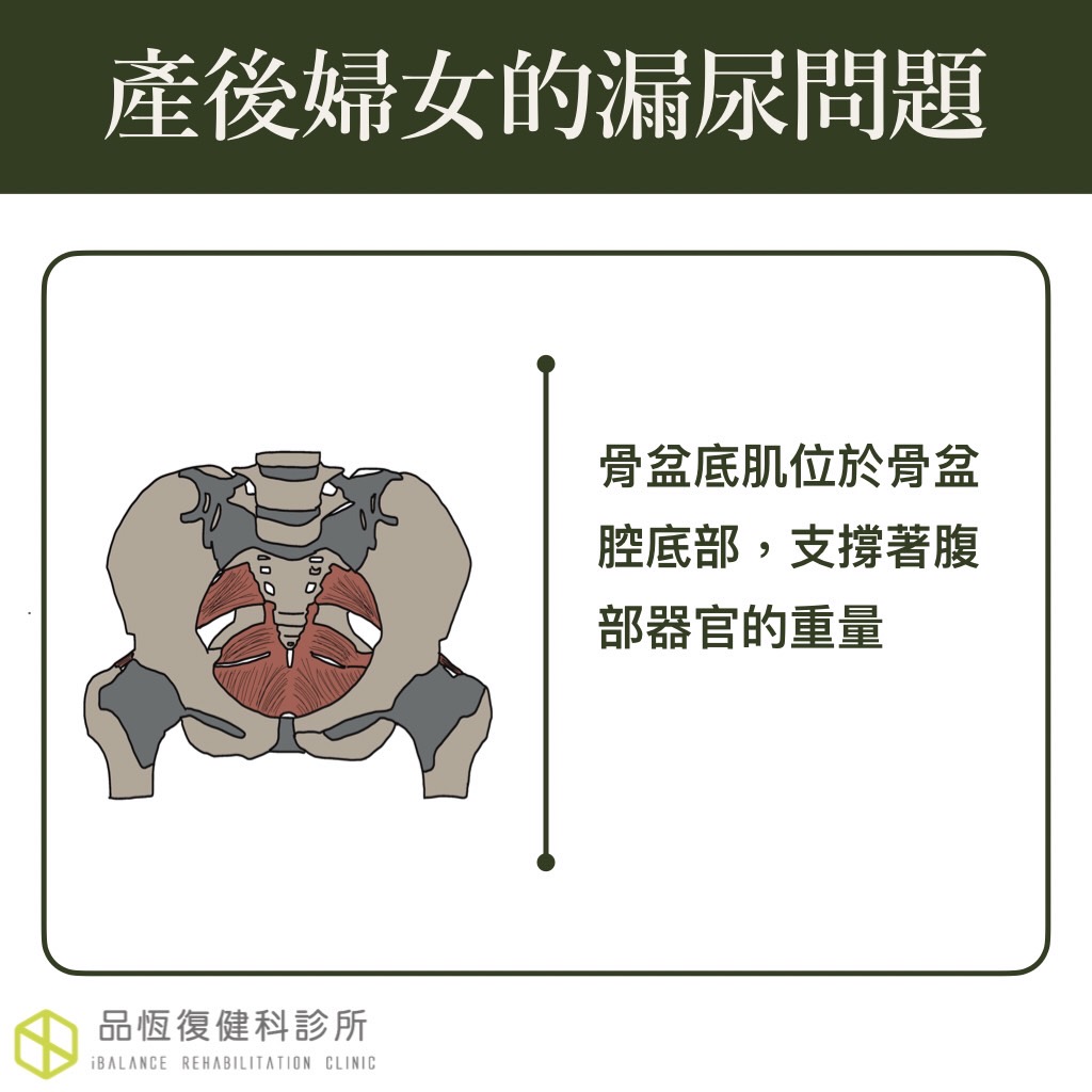 產後婦女的漏尿問題 產後婦女的漏尿問題